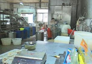 “持證”生產亂象 豆制品廠驚現“蘄艾蛆蟲”？監管與自律的警示